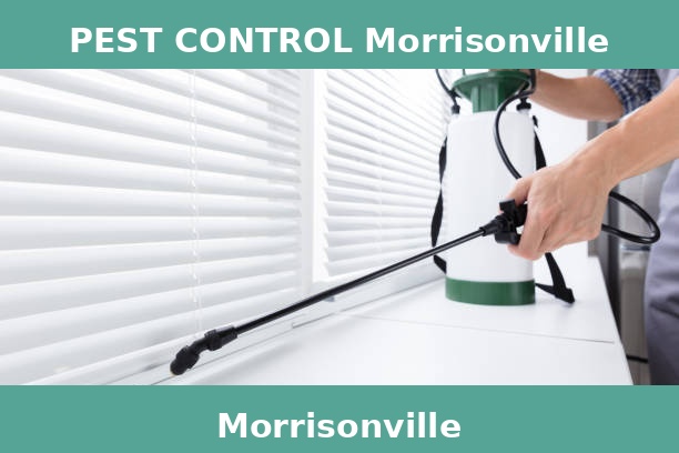 PEST CONTROL Morrisonville
